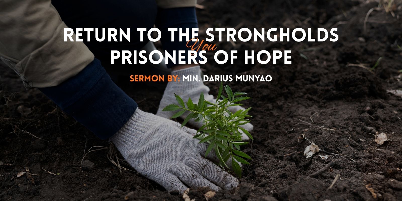 return to the strongholds – darius munyao